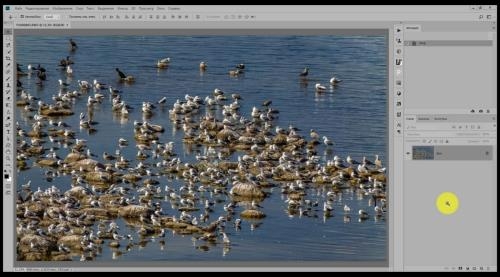 Bridge � Photoshop. �������� �������� ������ (2018)