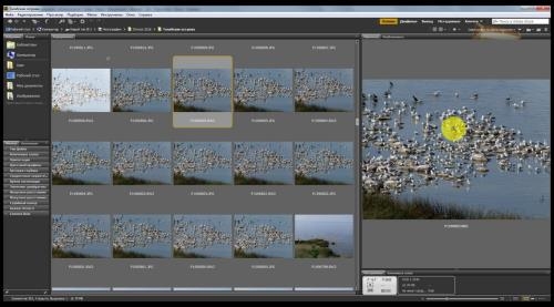 Bridge � Photoshop. �������� �������� ������ (2018)