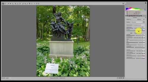 Camera Raw. ������� ��� ���������� (2018)