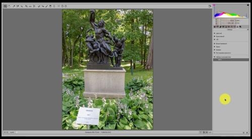 Camera Raw. ������� ��� ���������� (2018)