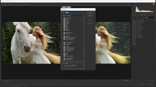 ����������� � Adobe Camera Raw ��� ������ �������� (2018)