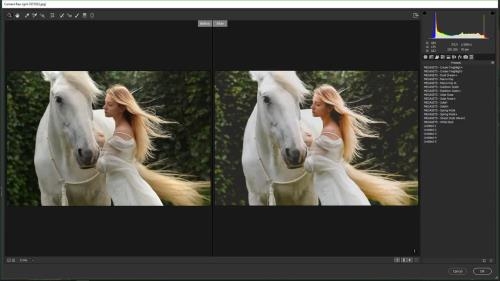 ����������� � Adobe Camera Raw ��� ������ �������� (2018)