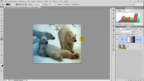 ������ ��������� ����������. ���������� �������� (2018)