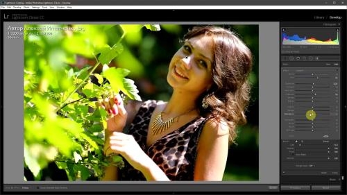 ������� ���������� ������� � Photoshop, Lightroom, Capture One (2018)