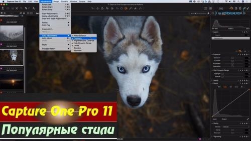 Capture One Pro 11. ���������� ����� (2018)