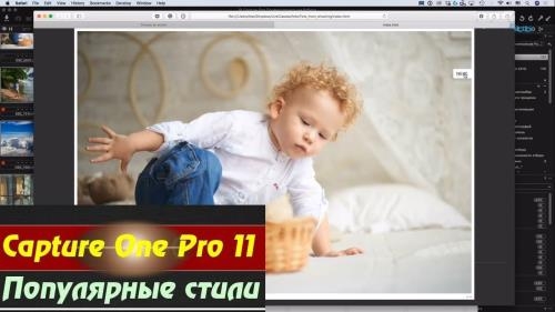 Capture One Pro 11. ���������� ����� (2018)