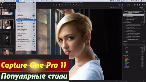 Capture One Pro 11. ���������� ����� (2018)
