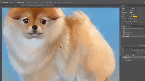 ����� ����� � Photoshop. �������� (2019)