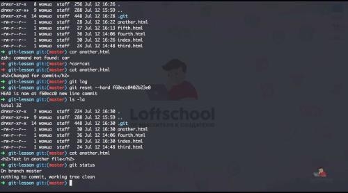 ���� �� Git (2019)