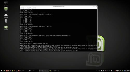 ���� SQL (2020)