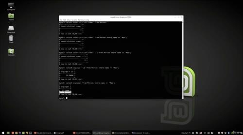 ���� SQL (2020)