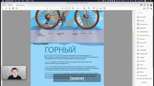 Adobe Illustrator. ������� �������. ��������� ���� (2020)