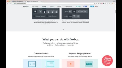 ��������� ���� �� ����������� ��������� ���� webflow (2018)