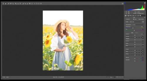 ��� ��������� ������� ������� � Camera Raw (2020)