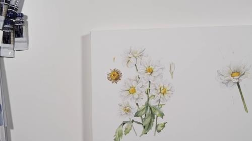 ���� ����� � �������� ���������� (2019/2020)