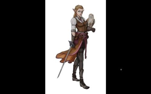 ���� �� �������� ��������� � Adobe illustrator (2020)