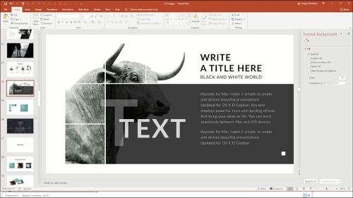 ����� �������� PowerPoint (2020)