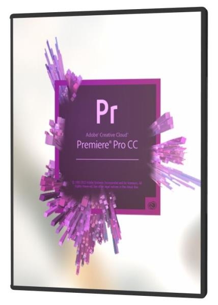 ������ � Adobe Premiere Pro (2020)