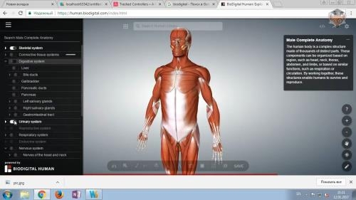 WEB-���������������� ��� ���������� (2020)