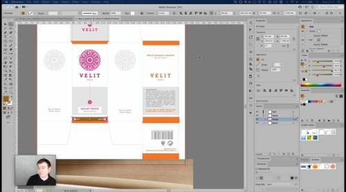 Adobe Illustrator. ����������� �������. ��������� ���c (2020)