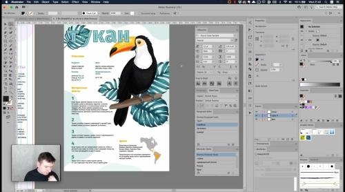 Adobe Illustrator. ����������� �������. ��������� ���c (2020)