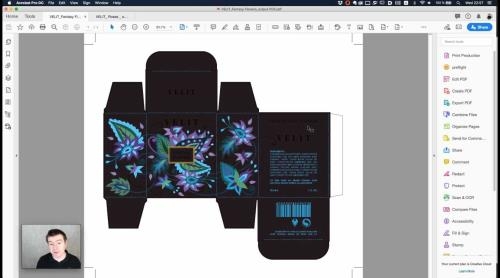 Adobe Illustrator. ����������� �������. ��������� ���c (2020)