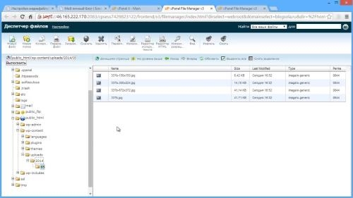 WordPress: ��� ������� ���� (2021)