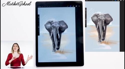 Procreate, �������� �����������. ������������ (2021)