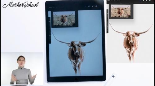 Procreate, �������� �����������. ������������ (2021)