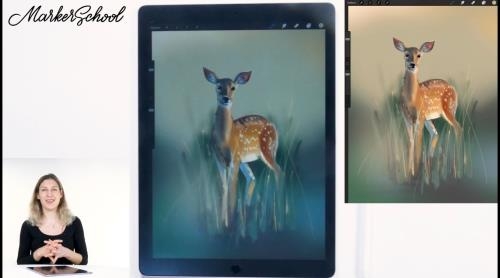 Procreate, �������� �����������. ������������ (2021)