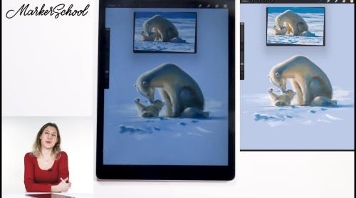 Procreate, �������� �����������. ������������ (2021)