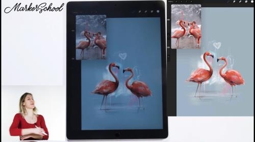 Procreate, �������� �����������. ������������ (2021)