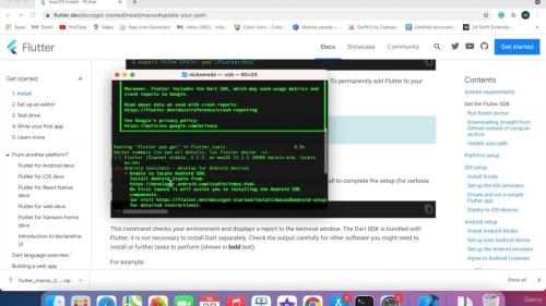 ���������� ���������� � Flutter 2.0 � Dart ��� IOS � Android (2021)